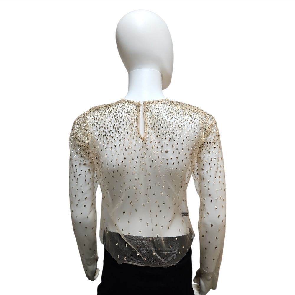 LIRIKA MATOSHI | Sheer Mesh Glitter Top in Size Small - Picture 6 of 10